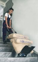 DMS Elektrischer Treppensteiger Ergo ZW4250 Stahl, 250 kg Tragkraft, ohne Bremse