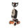 Norton Clipper Bodenschleifmaschine und Reinigungsmaschine CGCLEAN430 70184632740, Ø 430 mm, 230 V
